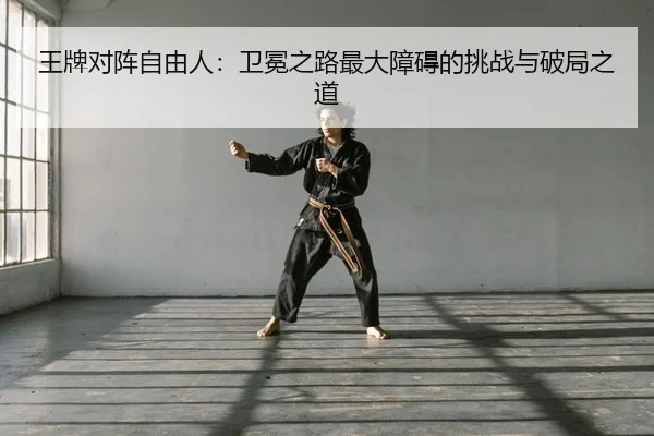 wang-pai-dui-zhen-zi-you-ren-wei-mian-zhi-lu-zui-da-zhang-ai-de-tiao-zhan-yu-po-ju-zhi-dao-2-443.jpg